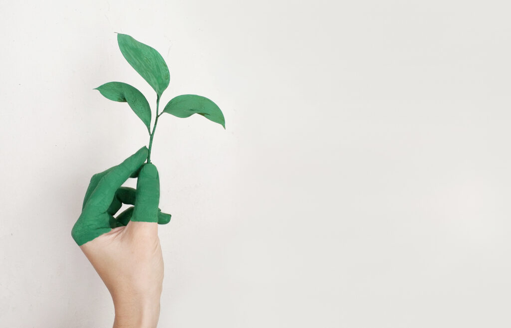 a person holding a plant as they consider sustainable moving tips