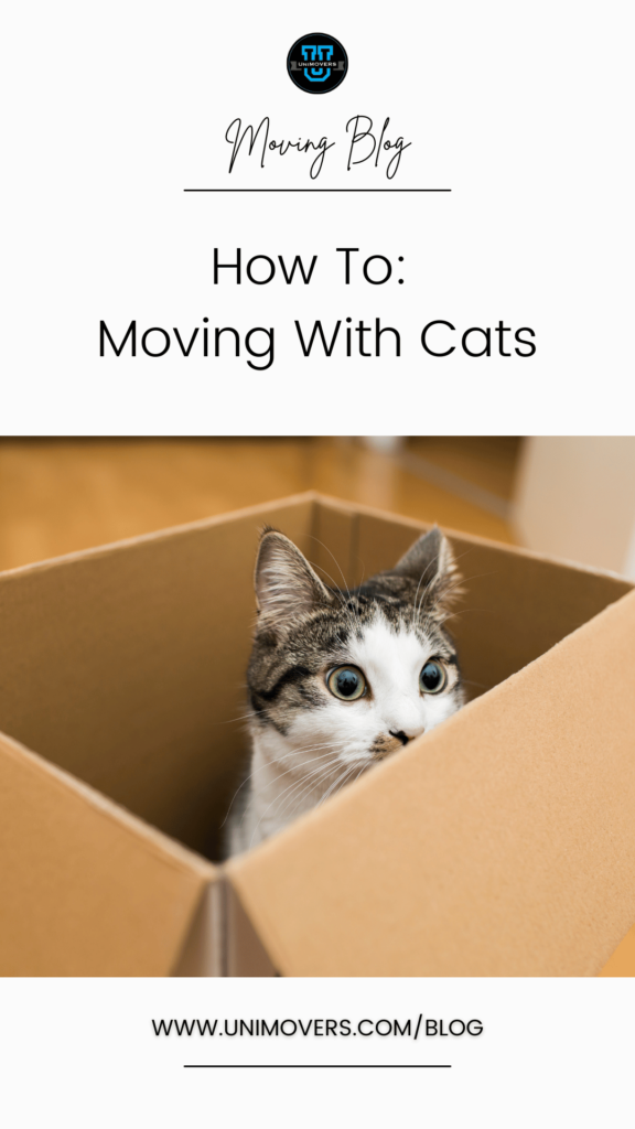 Graphic reading, "Moving blog, how to: moving with cats." with a picture a cat in the box.