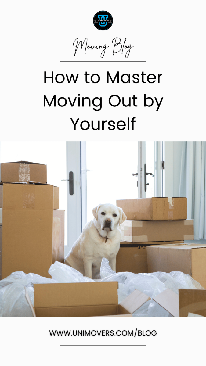Graphic reading, "Moving blog, How to master moving out by yourself"