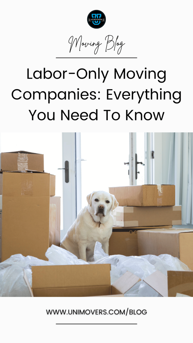 Graphic reading, "moving log, labor-only moving companies: everything you need to know"