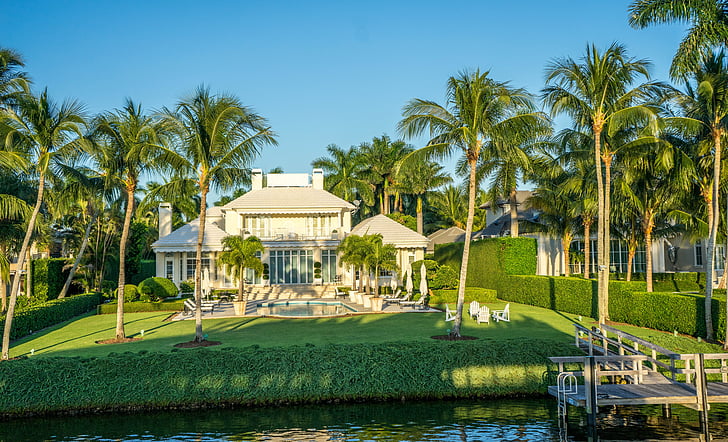 A home surrounded by palm trees