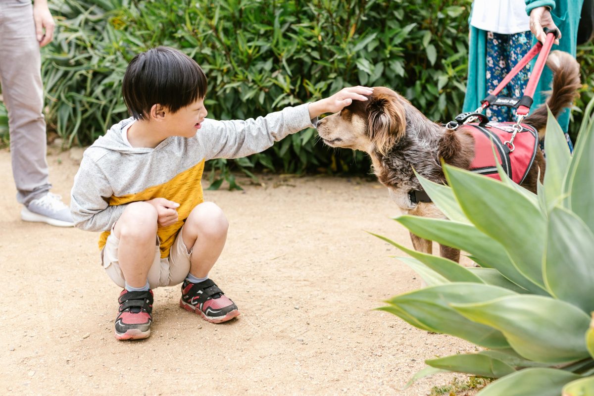 A young boy petting a service dog