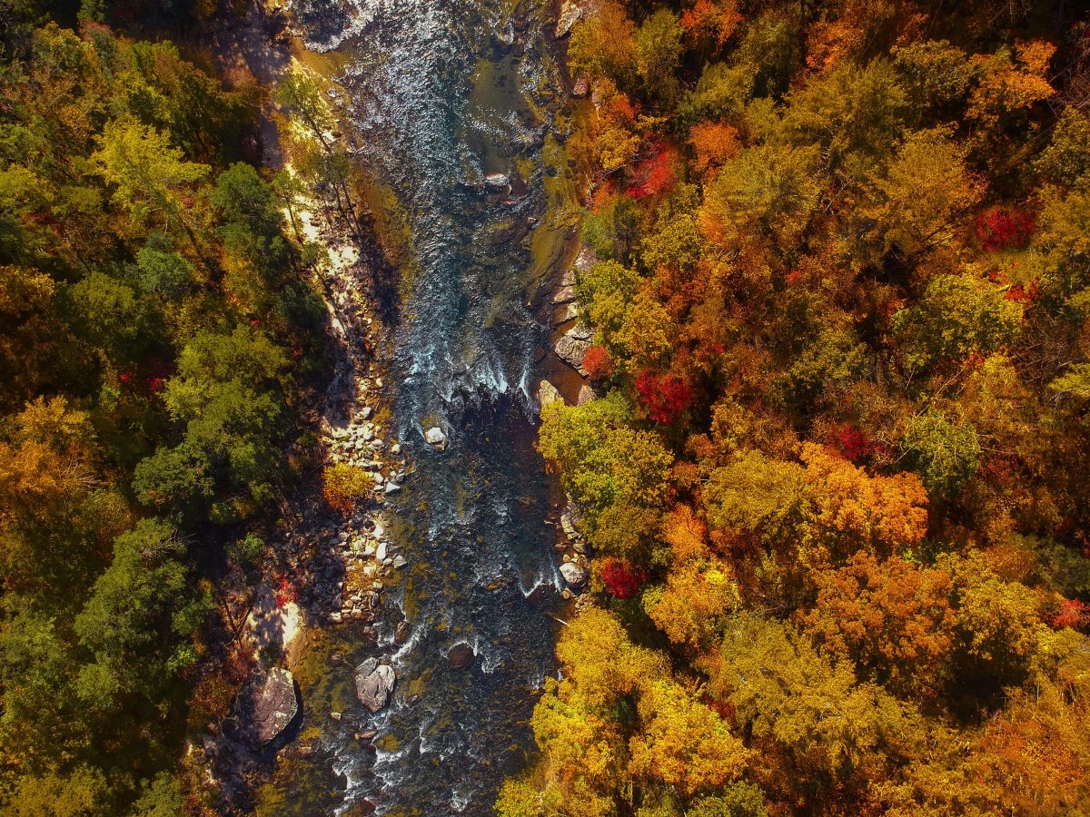 Aerial view of river