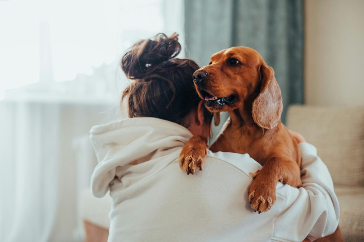 Young woman hugging a dog