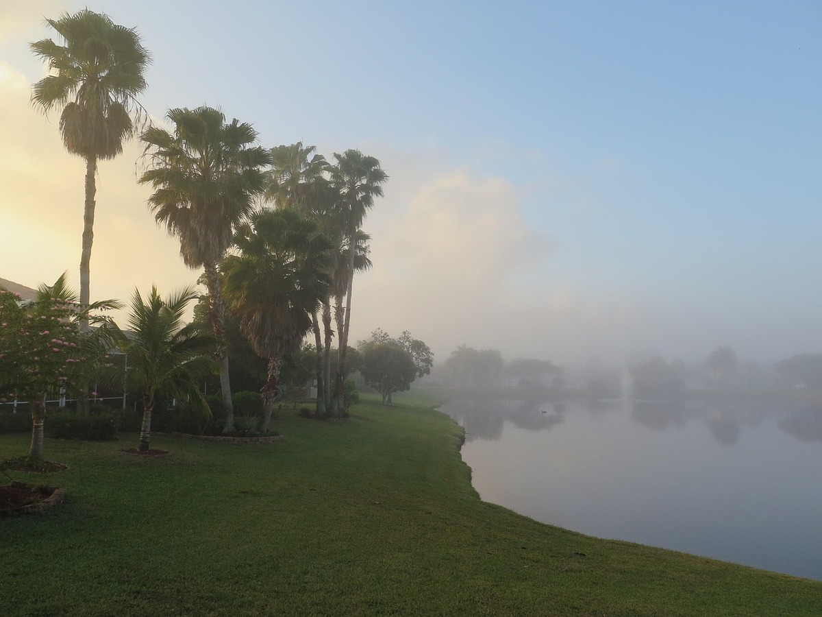 A beach in Boca Raton, FL with palm trees