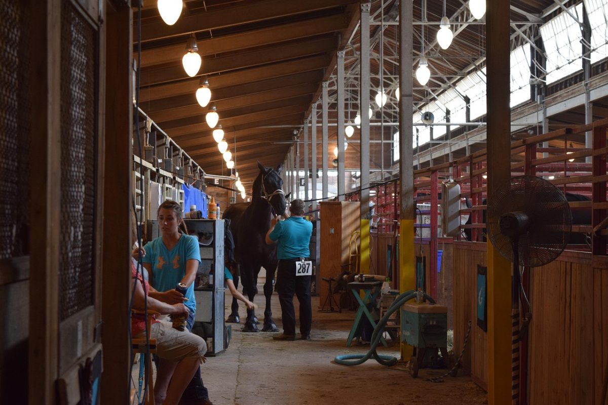 People interacting with horses at the Iowa State Fair