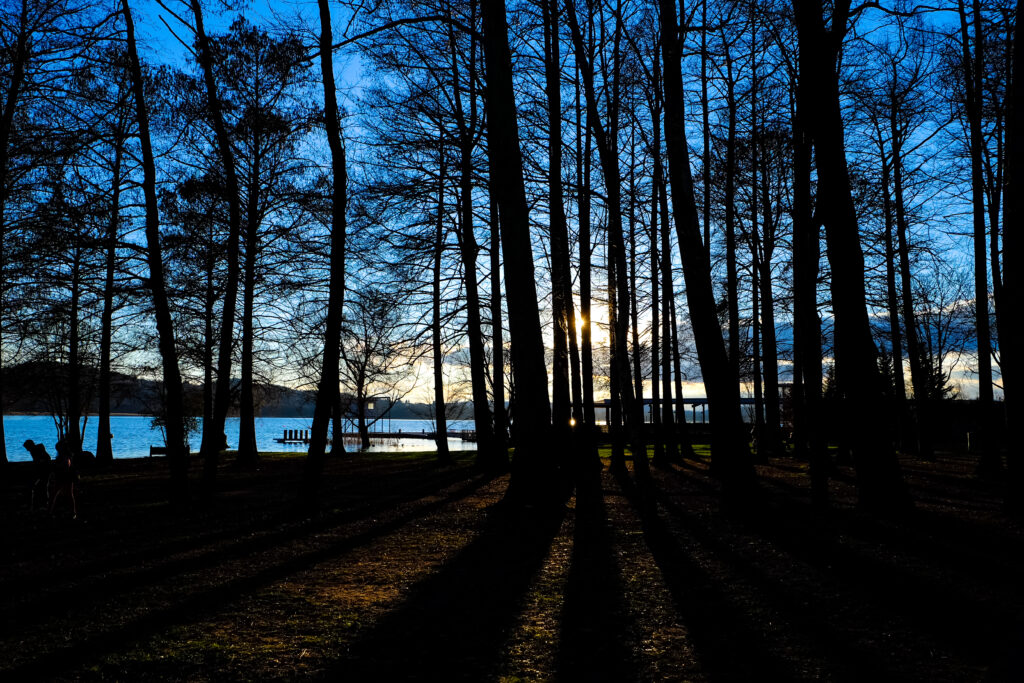 iowa lake with trees